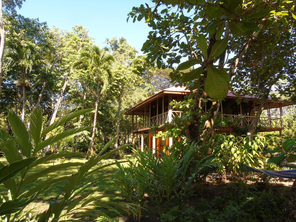 Bed and Breakfast Punta Preciosa Puerto Jiménez Exterior foto